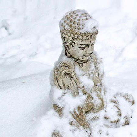 Buddha in the snows of a January Retreat