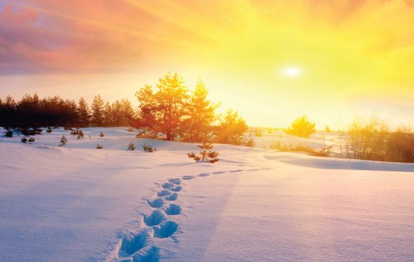 Winter scene in snow, sunrise, footprints in snow