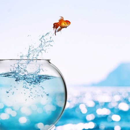 Goldfish jumping out of bowl, into beautiful spacious ocean