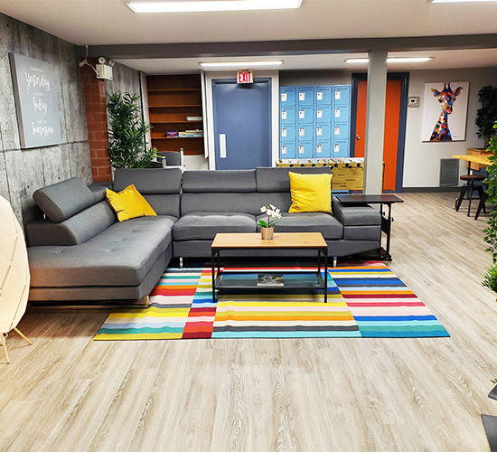 Lower-level community area